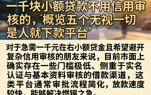 一千块小额贷款不用信用审核的，概览五个无视一切是人就下款平台