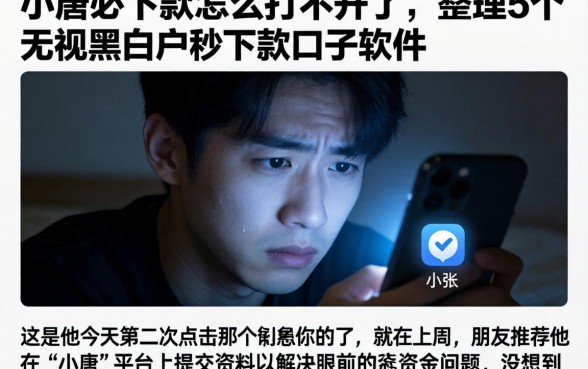 小唐必下款怎么打不开了，整理5个无视黑白户秒下款口子软件