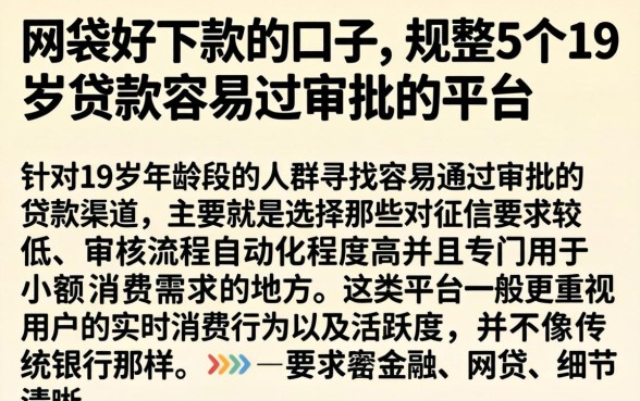 网袋好下款的口子，规整5个19岁贷款容易过审批的平台