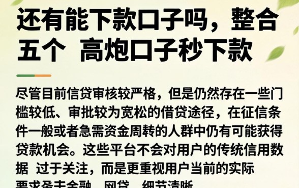 还有能下款口子吗，整合五个高炮口子秒下款