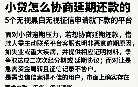 小贷怎么协商延期还款的，详尽说明5个无视黑白无视征信申请就下款的平台