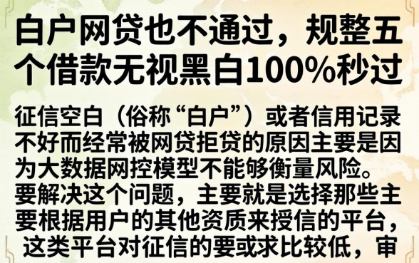 白户网贷也不通过,规整五个借款无视黑白100%秒过