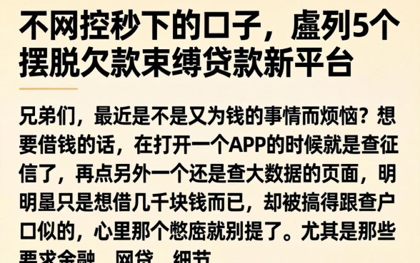 不风控秒下的口子，胪列5个摆脱欠款束缚贷款新平台