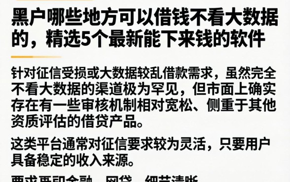 黑户哪些地方可以借钱不看大数据的，精选5个最新能下来钱的软件