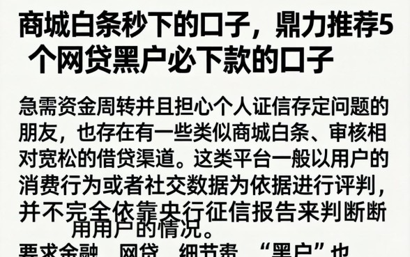 商城白条秒下的口子,鼎力推荐5个网贷黑户必下款的口子