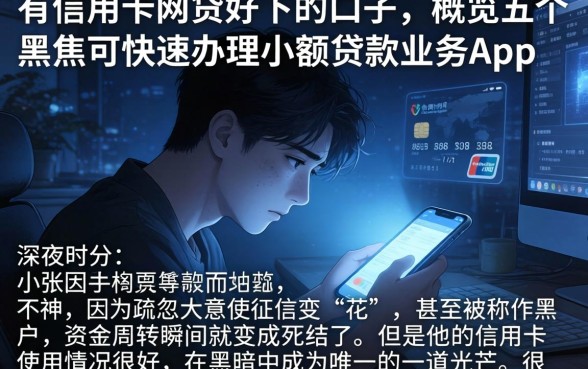 有信用卡网贷好下的口子，概览五个黑户可快速办理小额贷款业务的app