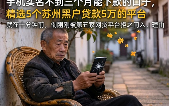 手机实名不到三个月能下款的口子，精选5个苏州黑户贷款5万的平台