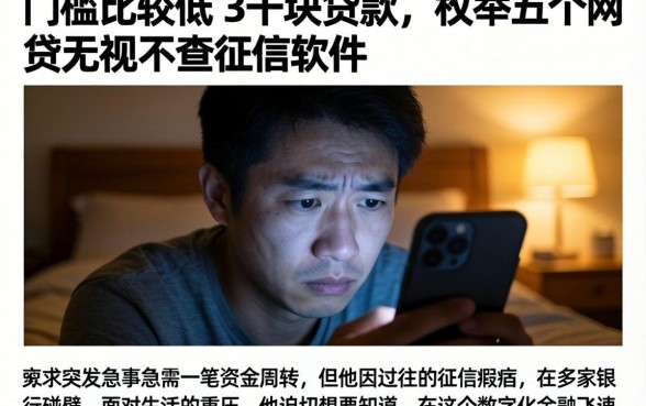 门槛比较低的3千块贷款，枚举五个网贷无视不查征信软件