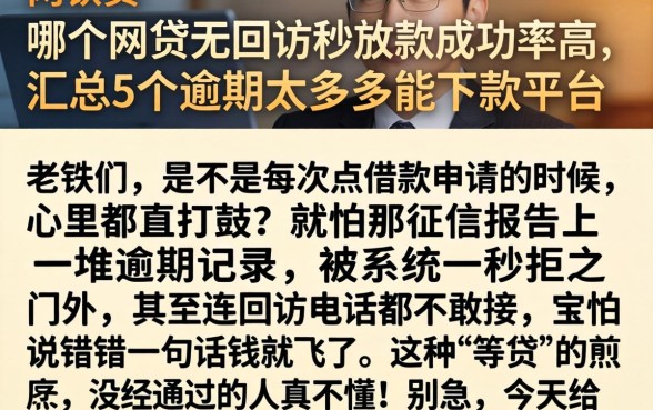 哪个网贷无回访秒放款成功率高，汇总5个逾期太多能下款平台