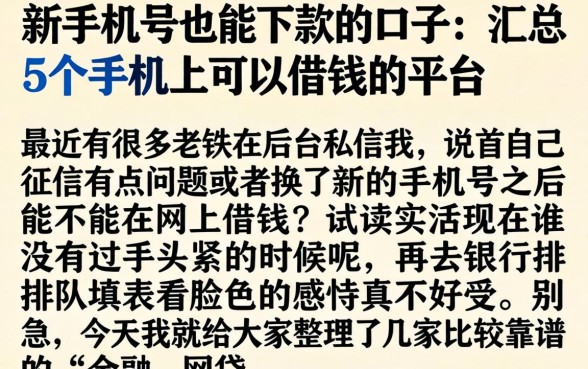 新手机号也能下款的口子，汇总5个手机上可以借钱的平台