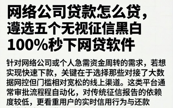 网络公司贷款怎么贷，遴选五个无视征信黑白100%秒下网贷软件