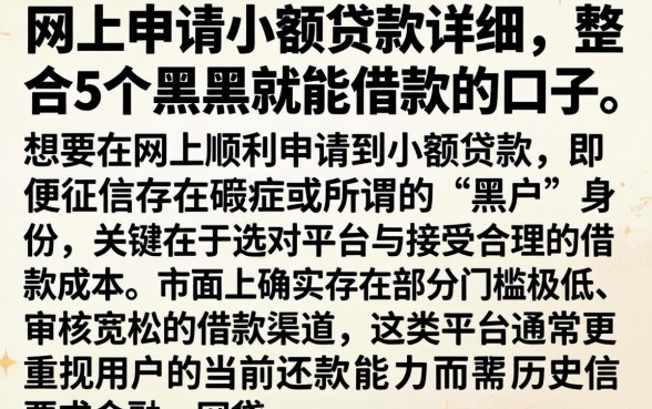 网上申请小额贷款详细，整合5个黑户也能借款的口子
