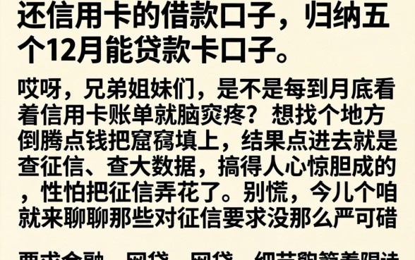 还信用卡的借款口子，归纳五个12月能贷款的口子