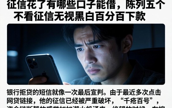 征信花了有哪些口子能借，陈列五个不看征信无视黑白百分百下款