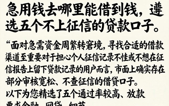 急用钱去哪里能借到钱，遴选五个不上征信的贷款口子