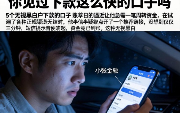 你见过下款这么快的口子吗，详细阐述5个无视黑白户下款的口子
