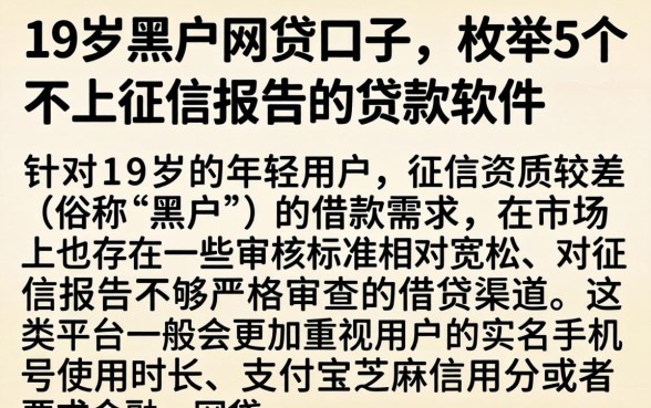 19岁黑户网贷口子，枚举5个不上征信报告的贷款软件