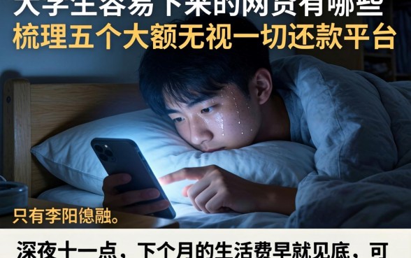 大学生容易下来的网贷有哪些，梳理五个大额无视一切还款的平台