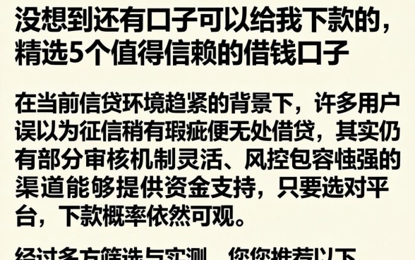 没想到还有口子可以给我下款的，精选5个值得信赖的借钱口子