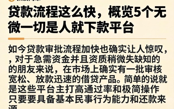 贷款流程这么快,概览5个无视一切是人就下款平台