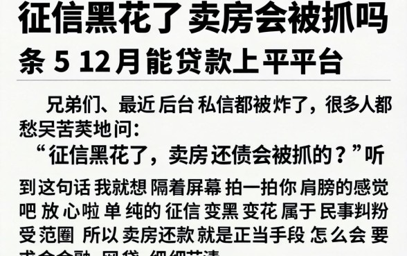 征信黑花了卖房会被抓吗，条列5个12月能贷款的平台