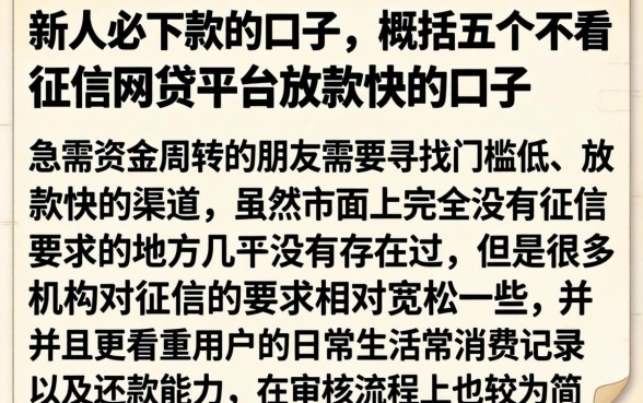新人必下款的口子，概括五个不看征信网贷平台放款快的口子