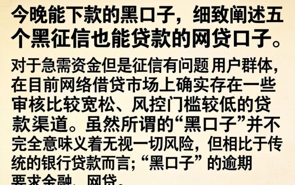 今晚能下款的黑口子，细致阐述五个黑征信也能贷款的网贷口子