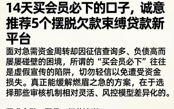 14天买会员必下的口子，诚意推荐5个摆脱欠款束缚贷款新平台