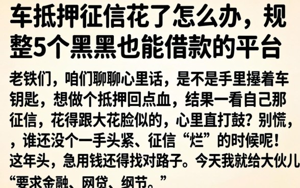 车抵押征信花了怎么办,规整5个黑户也能借款的平台