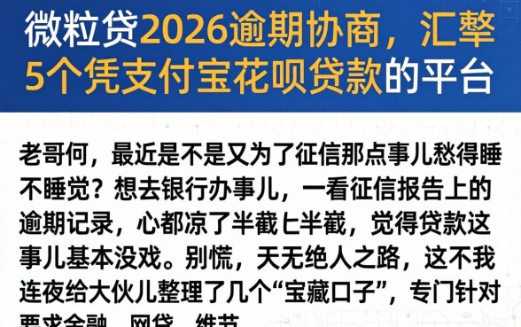 微粒贷2026逾期协商，汇整5个凭支付宝花呗贷款的平台