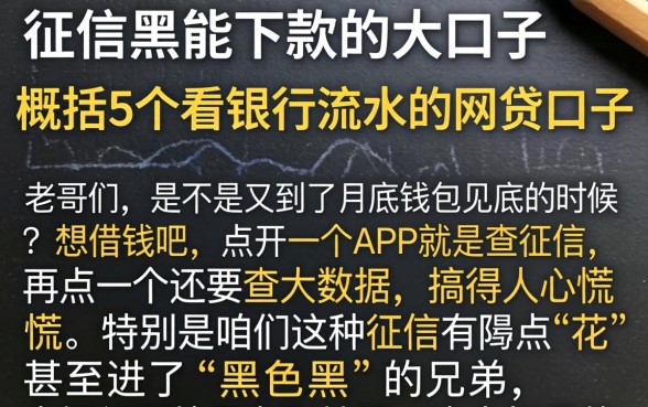 征信黑能下款的大口子，概括5个看银行流水的网贷口子