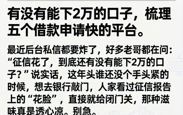 有没有能下2万的口子，梳理五个借款申请快的平台