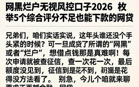 网黑烂户无视风控口子2026,枚举5个综合评分不足也能下款的网贷