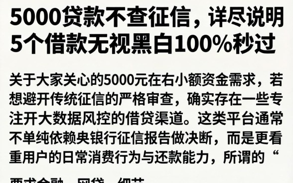 5000贷款不查征信，详尽说明5个借款无视黑白100%秒过
