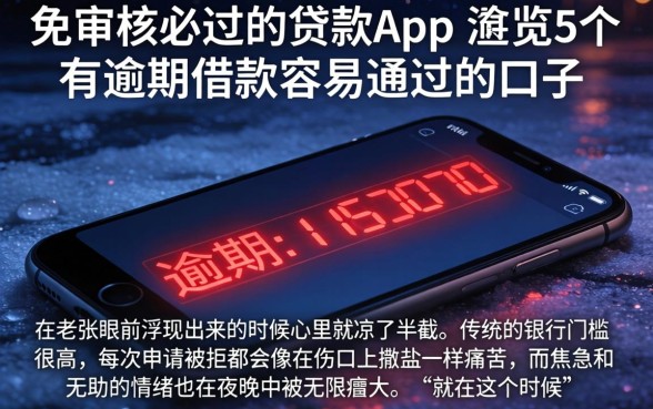 免审核必过的贷款app，概览5个有逾期借款容易通过的口子