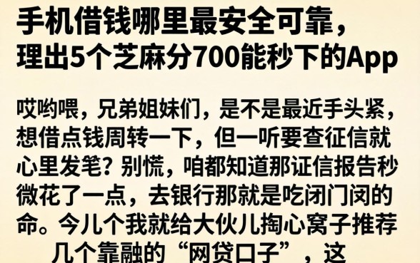 手机借钱哪里最安全可靠，理出5个芝麻分700能秒下的app