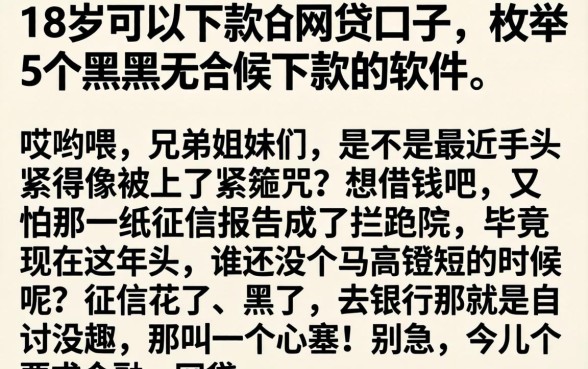 18岁可以下款的网贷口子，枚举5个黑户无条件下款的软件