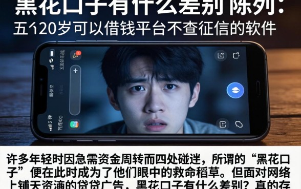 黑花口子有什么差别，陈列五个20岁可以借钱平台不查征信的软件