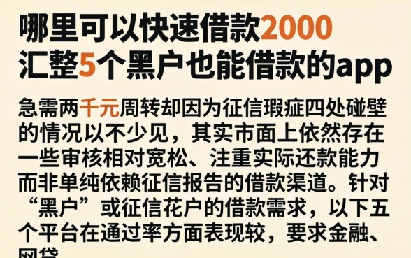 哪里可以快速借款2000，汇整5个黑户也能借款的app