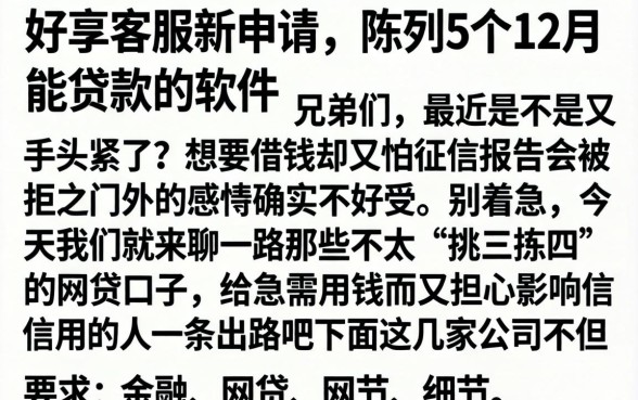 好享客服新申请，陈列5个12月能贷款的软件