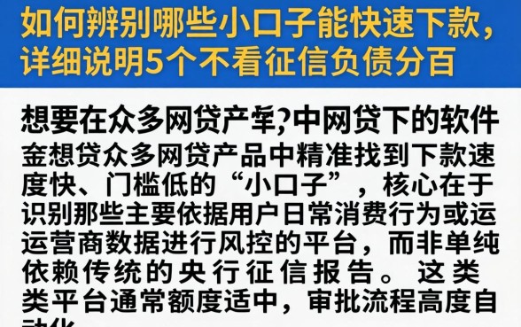 如何辨别哪些小口子能快速下款，详尽说明5个不看征信负债的网贷百分百下款软件