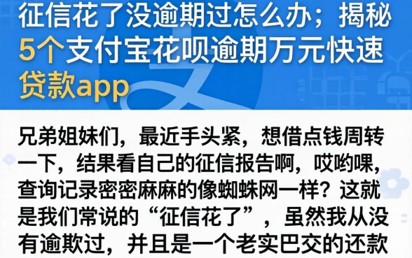 征信花了没逾期过怎么办，揭秘5个支付宝花呗逾期万元快速贷款app