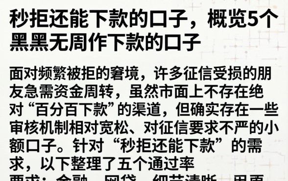 秒拒还能下款的口子，概览5个黑户无条件下款的口子