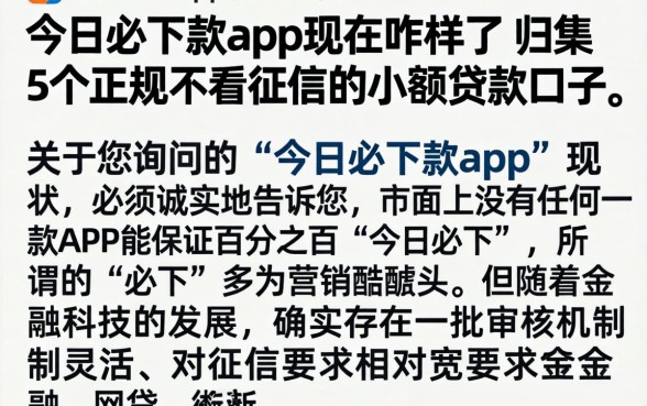 今日必下款app现在咋样了，归集5个正规不看征信的小额贷款口子