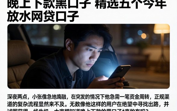 晚上下款的黑口子,精选五个今年放水的网贷口子