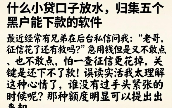 什么小贷口子放水，归集五个黑户能下款的软件