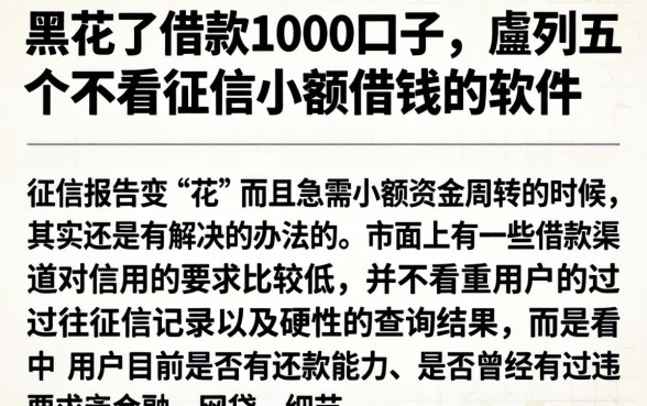 黑花了借款1000口子，胪列五个不看征信小额借钱的软件