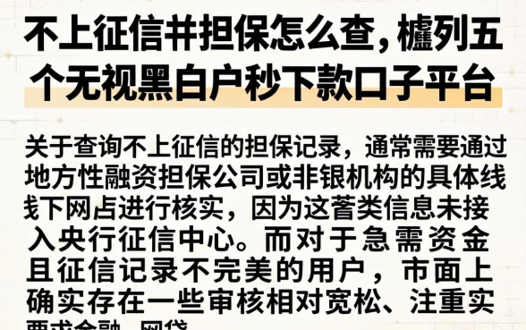不上征信的担保怎么查，胪列五个无视黑白户秒下款口子平台