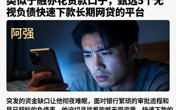 类似于融亦花的贷款口子,甄选5个无视负债快速下款长期网贷的平台