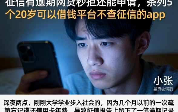 征信有逾期网贷秒拒还能申请,条列5个20岁可以借钱平台不查征信的app